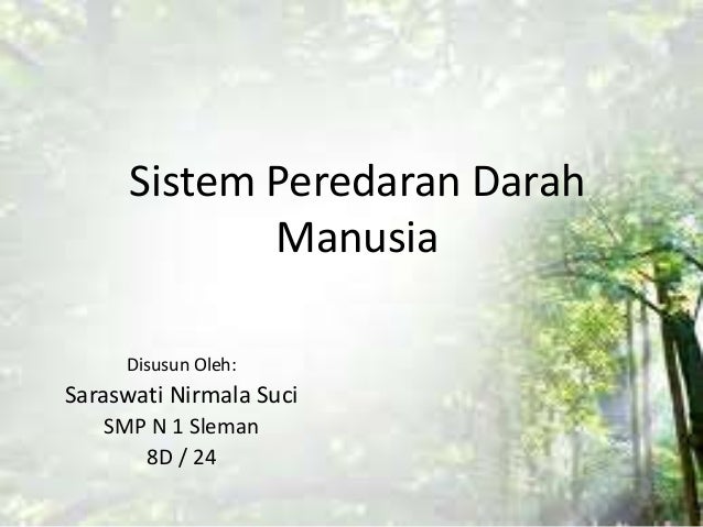 Sistem Peredaran Darah Manusia 59698385