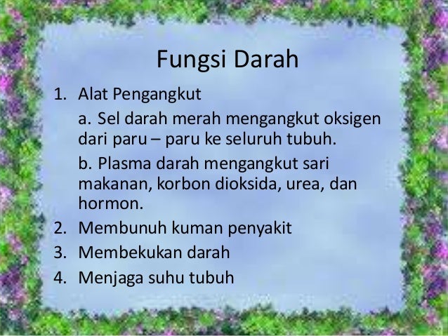 Sistem Peredaran Darah Manusia 59698385