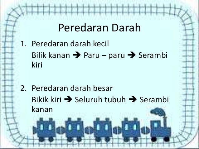 Sistem Peredaran Darah Manusia 59698385