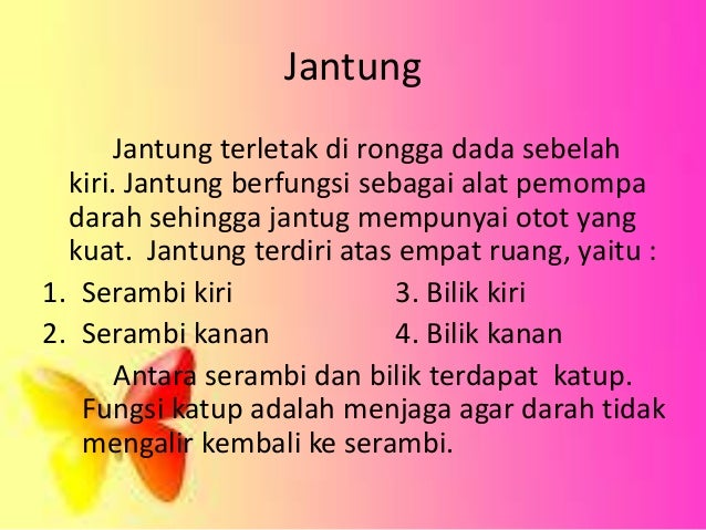Sistem Peredaran Darah Manusia 59698385