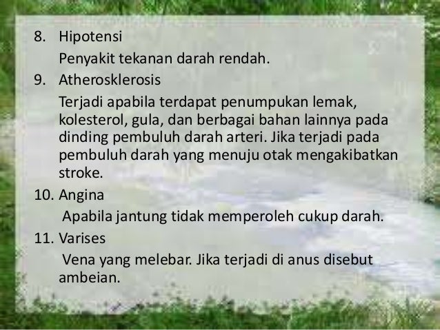 Sistem Peredaran Darah Manusia 59698385