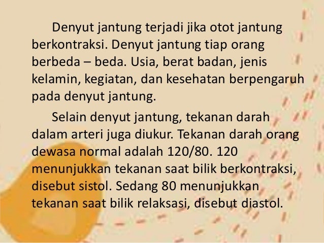 Sistem Peredaran Darah Manusia 59698385