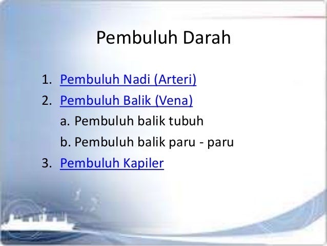 Sistem Peredaran Darah Manusia 59698385