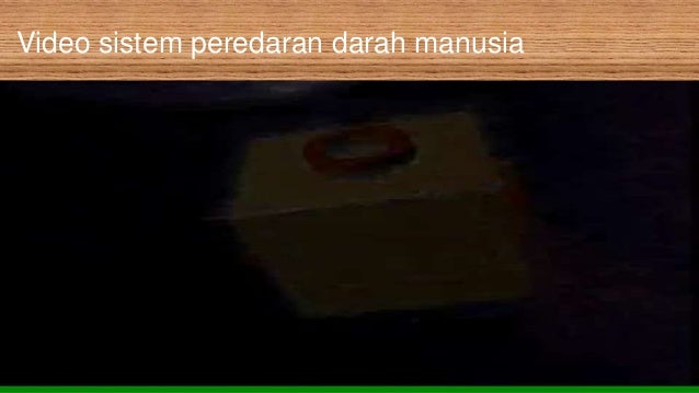 Sistem peredaran darah manusia