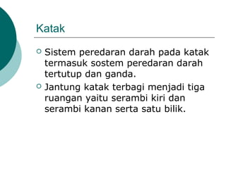 Katak
 Sistem peredaran darah pada katak
termasuk sostem peredaran darah
tertutup dan ganda.
 Jantung katak terbagi menjadi tiga
ruangan yaitu serambi kiri dan
serambi kanan serta satu bilik.
 