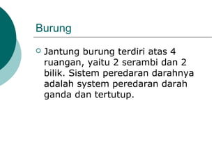 Burung
 Jantung burung terdiri atas 4
ruangan, yaitu 2 serambi dan 2
bilik. Sistem peredaran darahnya
adalah system peredaran darah
ganda dan tertutup.
 