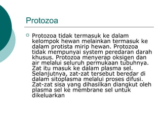 Protozoa
 Protozoa tidak termasuk ke dalam
kelompok hewan melainkan termasuk ke
dalam protista mirip hewan. Protozoa
tidak mempunyai system peredaran darah
khusus. Protozoa menyerap oksigen dan
air melalui seluruh permukaan tubuhnya.
Zat itu masuk ke dalam plasma sel.
Selanjutnya, zat-zat tersebut beredar di
dalam sitoplasma melalui proses difusi.
Zat-zat sisa yang dihasilkan diangkut oleh
plasma sel ke membrane sel untuk
dikeluarkan
 