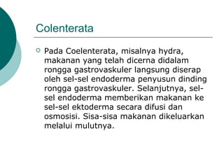 Colenterata
 Pada Coelenterata, misalnya hydra,
makanan yang telah dicerna didalam
rongga gastrovaskuler langsung diserap
oleh sel-sel endoderma penyusun dinding
rongga gastrovaskuler. Selanjutnya, sel-
sel endoderma memberikan makanan ke
sel-sel ektoderma secara difusi dan
osmosisi. Sisa-sisa makanan dikeluarkan
melalui mulutnya.
 