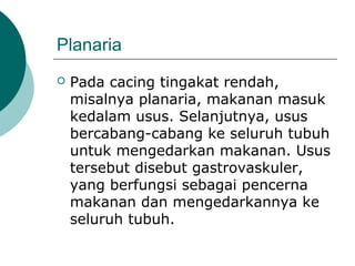 Planaria
 Pada cacing tingakat rendah,
misalnya planaria, makanan masuk
kedalam usus. Selanjutnya, usus
bercabang-cabang ke seluruh tubuh
untuk mengedarkan makanan. Usus
tersebut disebut gastrovaskuler,
yang berfungsi sebagai pencerna
makanan dan mengedarkannya ke
seluruh tubuh.
 