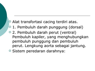  Alat transfortasi cacing terdiri atas.
 1. Pembuluh darah punggung (dorsal)
 2. Pembuluh darah perut (ventral)
Pembuluh kapiler, yang menghubungkan
pembuluh punggung dan pembuluh
perut. Lengkung aorta sebagai jantung.
 Sistem peredaran darahnya:
 