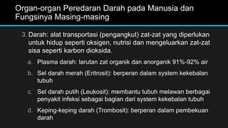 Organ-organ Peredaran Darah pada Manusia dan
Fungsinya Masing-masing
3. Darah: alat transportasi (pengangkut) zat-zat yang diperlukan
untuk hidup seperti oksigen, nutrisi dan mengeluarkan zat-zat
sisa seperti karbon dioksida.
a. Plasma darah: larutan zat organik dan anorganik 91%-92% air
b. Sel darah merah (Eritrosit): berperan dalam system kekebalan
tubuh
c. Sel darah putih (Leukosit): membantu tubuh melawan berbagai
penyakit infeksi sebagai bagian dari system kekebalan tubuh
d. Keping-keping darah (Trombosit): berperan dalam pembekuan
darah
 