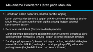 Mekanisme Peredaran Darah pada Manusia
1. Peredaran darah besar (Peredaran darah Panjang)
Darah dipompa dari jantung ( bagian bilik kiri/ventrikel sinister) ke seluruh
tubuh, kecuali paru-paru kembali lagi ke jantung (bagian serambi
kanan/atrium dexter)
2. Peredaran darah kecil (Peredaran darah pendek)
Darah dipompa dari jantung (bagian bilik kanan/ventrikel dexter) ke paru-
paru kemudian kembali ke jantung (bagian serambi kiri/atrium sinister)
3. Darah yang kaya akan O2 keluar dari bagian jantung sebelah kiri (bagian
serambi kiri dan bilik kiri) sedangkan darah yang kaya CO2 keluar dari
jantung kanan (bagian bilik kanan dan serambi kanan)
 