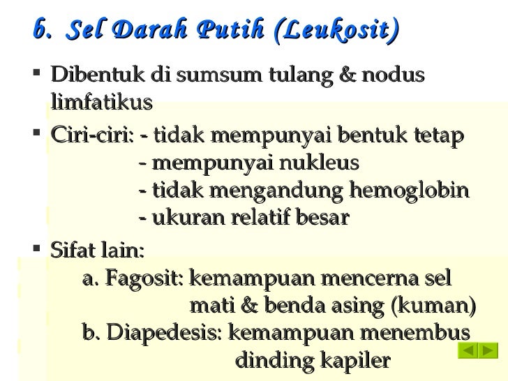 Sistem Peredaran Darah Pertemuan I