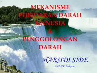 MEKANISME PEREDARAN DARAH MANUSIA & PENGGOLONGAN DARAH HARSIDI SIDE SMP N 13 Makassar 