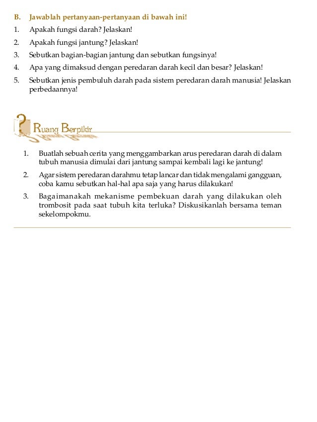 Sistem peredaran Darah