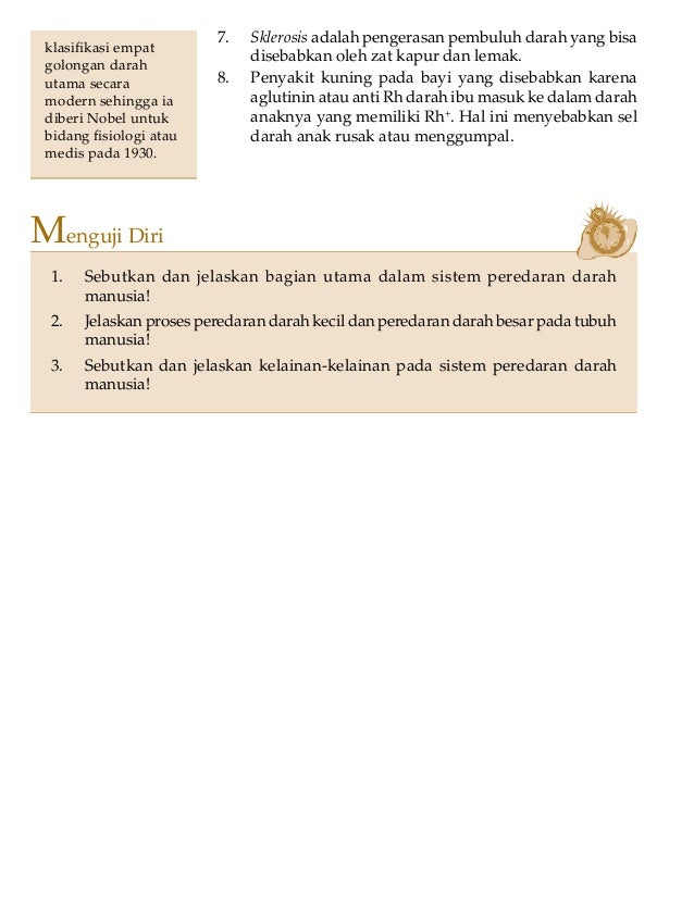 Sistem Peredaran Darah