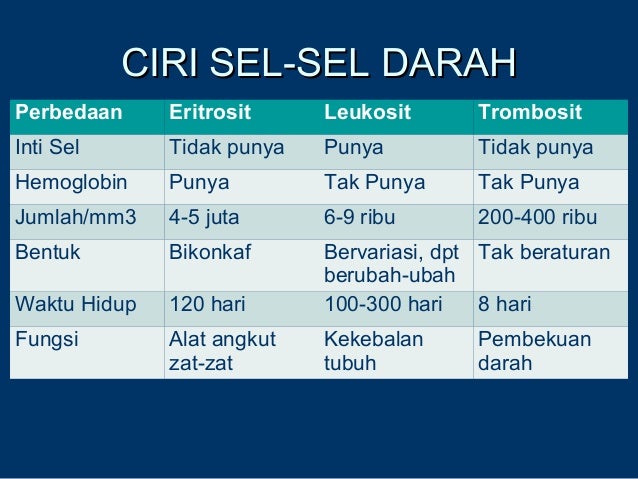 Sistem Peredaran Darah Solo Sistem Peredaran Darah Solo