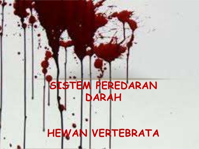 SISTEM PEREDARAN  DARAH  VERTEBRATA 