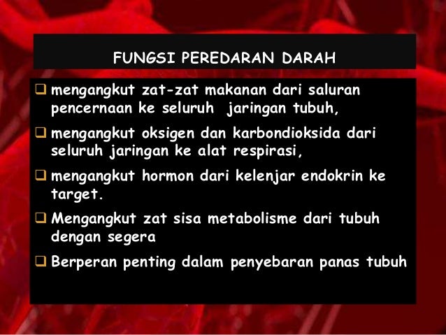 Sistem Peredaran Darah Vertebrata