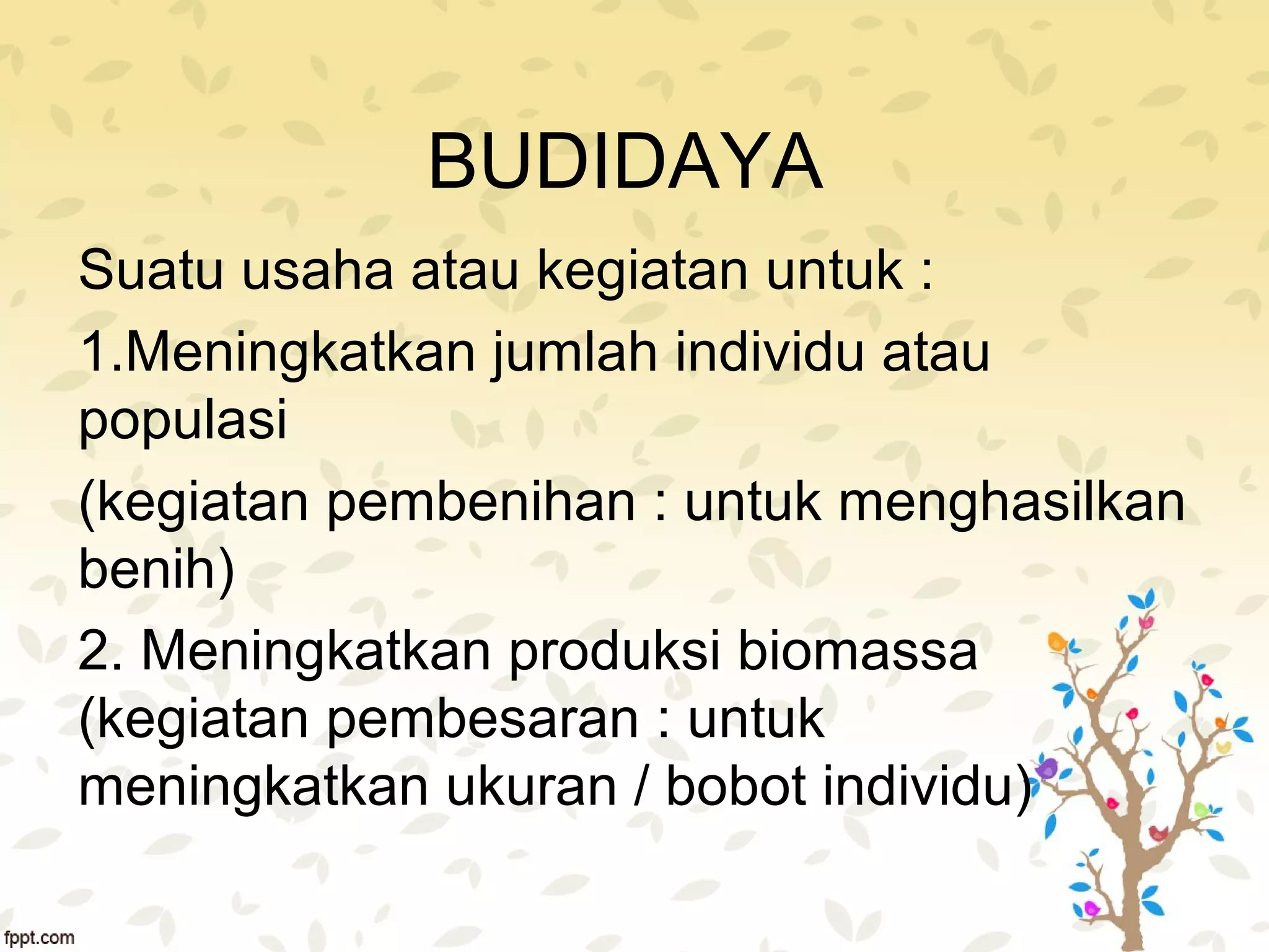 Sistem Perikanan Budidaya Ppt