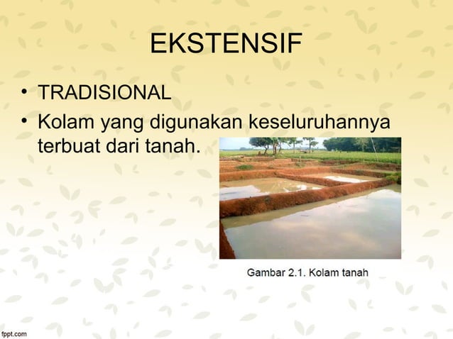 Sistem Perikanan Budidaya Ppt