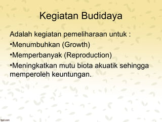 Kegiatan Budidaya 
Adalah kegiatan pemeliharaan untuk : 
•Menumbuhkan (Growth) 
•Memperbanyak (Reproduction) 
•Meningkatkan mutu biota akuatik sehingga 
memperoleh keuntungan. 
 