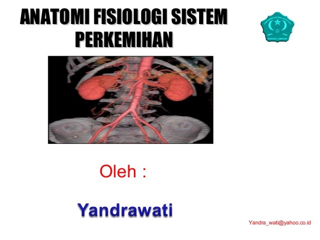 Anatomi Fisiologi Sistem Perkemihan