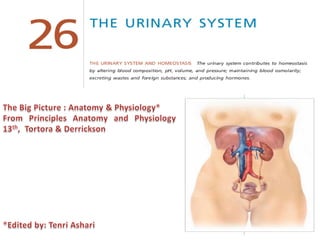 Sistem Perkemihan/Urinaria (Urinary System)