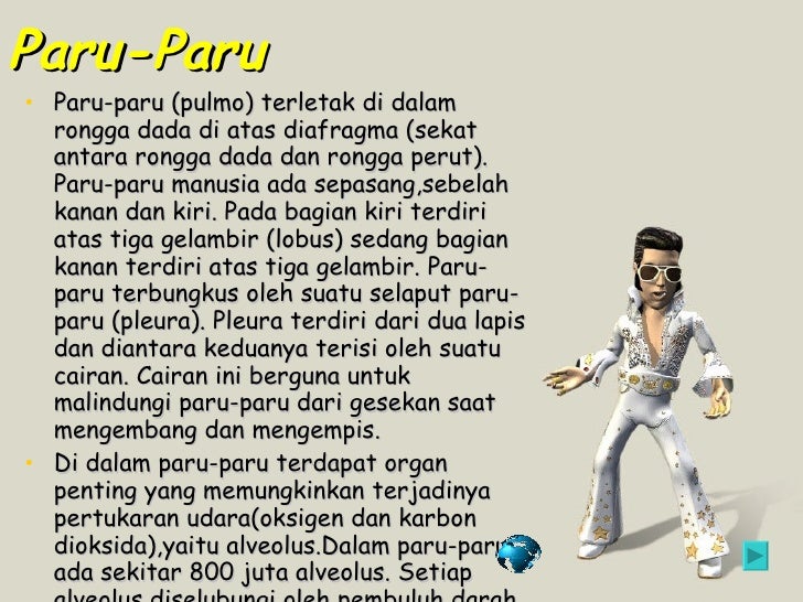 Sistem Pernapasan