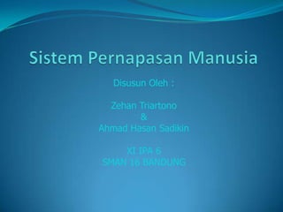 SistemPernapasanManusia DisusunOleh : ZehanTriartono & Ahmad HasanSadikin XI IPA 6 SMAN 16 BANDUNG 