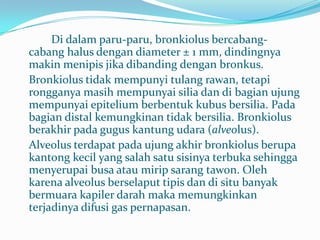 		Di dalamparu-paru, bronkiolusbercabang-cabanghalusdengan diameter ± 1 mm, dindingnyamakinmenipisjikadibandingdenganbronkus. Bronkiolustidakmempunyitulangrawan, tetapirongganyamasihmempunyaisiliadandibagianujungmempunyaiepiteliumberbentukkubusbersilia. Padabagian distal kemungkinantidakbersilia. Bronkiolusberakhirpadaguguskantungudara (alveolus). 	Alveolus terdapatpadaujungakhirbronkiolusberupakantongkecil yang salahsatusisinyaterbukasehinggamenyerupaibusaataumiripsarangtawon. Olehkarena alveolus berselaputtipisdandi situ banyakbermuarakapilerdarahmakamemungkinkanterjadinyadifusi gas pernapasan.