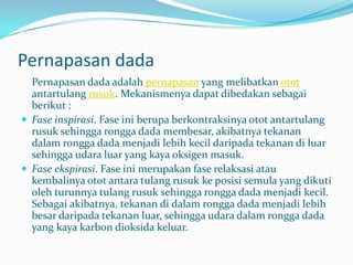 Ekspirasi : Pengeluaranudaradaridalamparu – parukeluarparu – paru.Adapunmacampernapasanmanusia, yaitupernapasan dada danpernapasanperut.