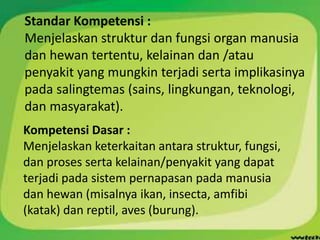 Standar Kompetensi :
Menjelaskan struktur dan fungsi organ manusia
dan hewan tertentu, kelainan dan /atau
penyakit yang mungkin terjadi serta implikasinya
pada salingtemas (sains, lingkungan, teknologi,
dan masyarakat).
Kompetensi Dasar :
Menjelaskan keterkaitan antara struktur, fungsi,
dan proses serta kelainan/penyakit yang dapat
terjadi pada sistem pernapasan pada manusia
dan hewan (misalnya ikan, insecta, amfibi
(katak) dan reptil, aves (burung).
 