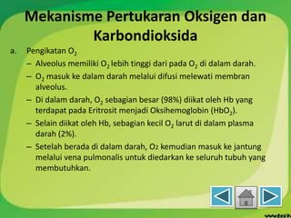 Mekanisme Pertukaran Oksigen dan
Karbondioksida
a. Pengikatan O2
– Alveolus memiliki O2 lebih tinggi dari pada O2 di dalam darah.
– O2 masuk ke dalam darah melalui difusi melewati membran
alveolus.
– Di dalam darah, O2 sebagian besar (98%) diikat oleh Hb yang
terdapat pada Eritrosit menjadi Oksihemoglobin (HbO2).
– Selain diikat oleh Hb, sebagian kecil O2 larut di dalam plasma
darah (2%).
– Setelah berada di dalam darah, O2 kemudian masuk ke jantung
melalui vena pulmonalis untuk diedarkan ke seluruh tubuh yang
membutuhkan.
 
