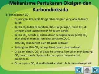 Mekanisme Pertukaran Oksigen dan
Karbondioksida
b. Pengeluaran CO2
– Di jaringan, CO2 lebih tinggi dibandingkan yang ada di dalam
darah.
– Ketika O2 di dalam darah berdifusi ke jaringan, maka CO2 di
jaringan akan segera masuk ke dalam darah.
– Ketika CO2 berada di dalam darah sebagian besar (70%) CO2
akan diubah menjadi ion bikarbonat (HCO3–).
– 20% CO2 akan terikat oleh Hb pada Eritrosit.
– Sedangkan 10% CO2 lainnya larut dalam plasma darah.
– Di dalam darah, CO2 di bawa ke jantung, kemudian oleh jantung
CO2 dalam darah dipompa ke paru-paru melalui arteri
pulmonalis.
– Di paru-paru CO2 akan dikeluarkan dari tubuh melalui ekspirasi.
 