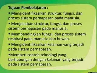 Tujuan Pembelajaran :
 Mengidentifikasikan struktur, fungsi, dan
proses sistem pernapasan pada manusia.
 Menjelaskan struktur, fungsi, dan proses
sistem pernapasan pada manusia.
 Membandingkan fungsi, dan proses sistem
respirasi pada manusia dan hewan.
 Mengidentifikasikan kelainan yang terjadi
pada sistem pernapasan.
Memberi contoh teknologi yang
berhubungan dengan kelainan yang terjadi
pada sistem pernapasan.
 