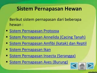 Sistem Pernapasan Hewan
Berikut sistem pernapasan dari beberapa
hewan :
 Sistem Pernapasan Protozoa
 Sistem Pernapasan Annelida (Cacing Tanah)
 Sistem Pernapasan Amfibi (katak) dan Reptil
 Sistem Pernapasan Ikan
 Sistem Pernapasan Insecta (Serangga)
 Sistem Pernapasan Aves (Burung)
 