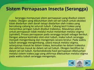 Sistem Pernapasan Insecta (Serangga)
Serangga mempunyai sitem pernapasan yang disebut sistem
trakea. Oksigen yang dibutuhkan oleh sel-sel tubuh untuk oksidasi
tidak diedarkan oleh darah tetapi diedarkan oleh trakea yang
bercabang-cabang ke seluruh tubuh. Cabang kecil trakea yang
menembus jaringan tubuh disebut trakeolus. Masuknya udara
untuk pernapasan tidak melalui mulut melainkan melalui stigma
(spirakel). Proses pernapasan pada serangga terjadi sebagai berikut.
Dengan adanya kontraksi otot-otot tubuh, maka tubuh serangga
menjadi mengembang dan mengempis secara teratur. Pada waktu
tubuh serangga mengembang, udara masuk melalui stigma,
selanjutnya masuk ke dalam trakea, kemudian ke dalam trakeolus
dan akhirnya masuk ke dalam sel-sel tubuh. Oksigen berdifusi ke
dalam sel-sel tubuh. Karbondioksida hasil pernapasan dikeluarkan
melalui sistem trakea juga yang akhirnya dikeluarkan melalui stigma
pada waktu tubuh serangga mengempis.
 