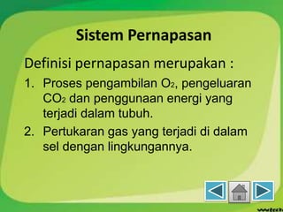 Sistem Pernapasan
Definisi pernapasan merupakan :
1. Proses pengambilan O2, pengeluaran
CO2 dan penggunaan energi yang
terjadi dalam tubuh.
2. Pertukaran gas yang terjadi di dalam
sel dengan lingkungannya.
 