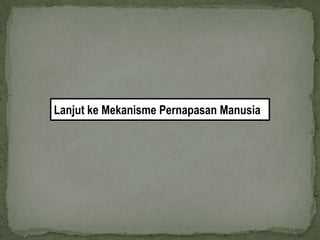 Lanjut ke Mekanisme Pernapasan Manusia
 