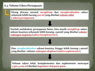 A.3. Volume Udara Pernapasan

     Orang dewasa normal menghirup dan menghembuskan udara
     sebanyak lebih kurang 500 ml yang disebut volume tidal
     ( udara pernapasan).



    Setelah melakukan pernapasan biasa, kita masih menghirup udara
    sekuat-kuatnya sebanyak lebih kurang 1.500ml yang disebut volume
    cadangan inspirasi (udara komplementer).




     Dan menghembuskan sekuat-kuatnya hingga lebih kurang 1.500ml
     yang disebut volume cadangan ekspirasi (udara suplementer).




     Volume udara tidal, komplementer dan suplementer mencapai
     3.500-4.000 ml disebut kapasitas vital paru-paru.
 