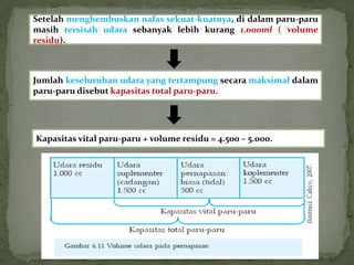 Setelah menghembuskan nafas sekuat-kuatnya, di dalam paru-paru
masih tersisah udara sebanyak lebih kurang 1.000ml ( volume
residu).



Jumlah keseluruhan udara yang tertampung secara maksimal dalam
paru-paru disebut kapasitas total paru-paru.




Kapasitas vital paru-paru + volume residu = 4.500 – 5.000.
 