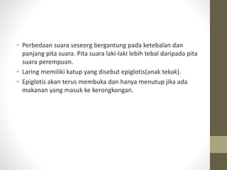 • Perbedaan suara seseorg bergantung pada ketebalan dan
panjang pita suara. Pita suara laki-laki lebih tebal daripada pita
suara perempuan.
• Laring memiliki katup yang disebut epiglotis(anak tekak).
• Epiglotis akan terus membuka dan hanya menutup jika ada
makanan yang masuk ke kerongkongan.
 