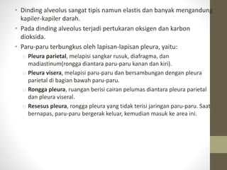 • Dinding alveolus sangat tipis namun elastis dan banyak mengandung
kapiler-kapiler darah.
• Pada dinding alveolus terjadi pertukaran oksigen dan karbon
dioksida.
• Paru-paru terbungkus oleh lapisan-lapisan pleura, yaitu:
o Pleura parietal, melapisi sangkar rusuk, diafragma, dan
madiastinum(rongga diantara paru-paru kanan dan kiri).
o Pleura visera, melapisi paru-paru dan bersambungan dengan pleura
parietal di bagian bawah paru-paru.
o Rongga pleura, ruangan berisi cairan pelumas diantara pleura parietal
dan pleura viseral.
o Resesus pleura, rongga pleura yang tidak terisi jaringan paru-paru. Saat
bernapas, paru-paru bergerak keluar, kemudian masuk ke area ini.
 