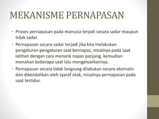 MEKANISME PERNAPASAN
• Proses pernapasan pada manusia terjadi secara sadar maupun
tidak sadar.
• Pernapasan secara sadar terjadi jika kita melakukan
pengaturan-pengaturan saat bernapas, misalnya pada saat
latihan dengan cara menarik napas panjang, kemudian
menahan beberapa saat lalu mengeluarkannya.
• Pernapasan secara tidak langsung dilakukan secara otomatis
dan dikendalikan oleh syaraf otak, misalnya pernapasan pada
saat tertidur.
 