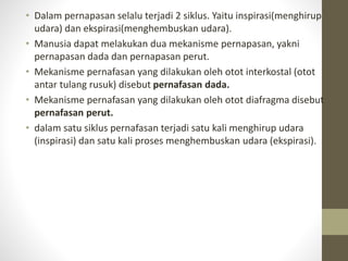 • Dalam pernapasan selalu terjadi 2 siklus. Yaitu inspirasi(menghirup
udara) dan ekspirasi(menghembuskan udara).
• Manusia dapat melakukan dua mekanisme pernapasan, yakni
pernapasan dada dan pernapasan perut.
• Mekanisme pernafasan yang dilakukan oleh otot interkostal (otot
antar tulang rusuk) disebut pernafasan dada.
• Mekanisme pernafasan yang dilakukan oleh otot diafragma disebut
pernafasan perut.
• dalam satu siklus pernafasan terjadi satu kali menghirup udara
(inspirasi) dan satu kali proses menghembuskan udara (ekspirasi).
 