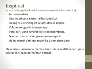 Inspirasi
(prosesaktifyangdilakukanolehkerjaotot(memerlukankontraksiotot)
• Pernafasan dada
- Otot interkostal eksternal berkontraksi.
- Tulang rusuk terangkat ke atas dan ke depan.
- Volume rongga dada membesar.
- Paru-paru yang bersifat elastis mengembang.
- Tekanan udara dalam paru-paru mengecil.
- Udara masuk dari luar tubuh ke dalam paru-paru.
Mekanisme ini mampu memasukkan udara ke dalam paru-paru
sekitar 25% pada pernafasan normal.
 