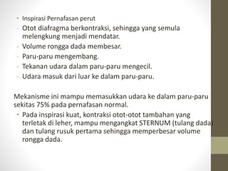 • Inspirasi Pernafasan perut
- Otot diafragma berkontraksi, sehingga yang semula
melengkung menjadi mendatar.
- Volume rongga dada membesar.
- Paru-paru mengembang.
- Tekanan udara dalam paru-paru mengecil.
- Udara masuk dari luar ke dalam paru-paru.
Mekanisme ini mampu memasukkan udara ke dalam paru-paru
sekitas 75% pada pernafasan normal.
• Pada inspirasi kuat, kontraksi otot-otot tambahan yang
terletak di leher, mampu mengangkat STERNUM (tulang dada)
dan tulang rusuk pertama sehingga memperbesar volume
rongga dada.
 