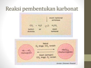 Reaksi pembentukan karbonat
 