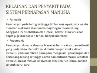 KELAINAN DAN PENYAKIT PADA
SISTEM PERNAPASAN MANUSIA
• Faringitis
Peradangan pada faring sehingga timbul rasa nyeri pada waktu
menelan makanan ataupun kerongkongan terasa kering.
Gangguan ini disebabkan oleh infeksi bakteri atau virus dan
dapat juga disebabkan terlalu banyak merokok.
• Pneumonia
Peradangan dimana alveolus biasanya berisi cairan dan eritrosit
yang berlebihan. Penyakit ini dimulai dengan infeksi dalam
alveolus, yaitu membran paru-paru mengalami peradangan dan
berlubang-lubang sehingga cairan dan eritrosit masuk kedalam
alveolus. Dapat meluas ke alveolus lain, seluruh lobus, bahkan
seluruh paru-paru
 